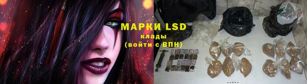 мяу мяу мука Абаза