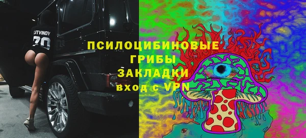 мяу мяу мука Абаза