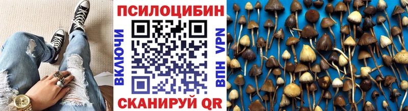 наркота  Шахты  Псилоцибиновые грибы Cubensis 